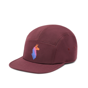 Llama Stripes 5-Panel Hat